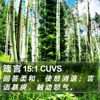 箴 言 15:1 CUVS Bible Verse Image
