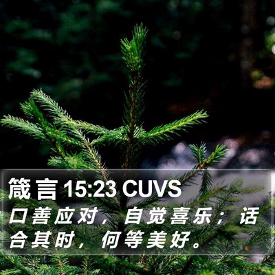 箴 言 15:23 CUVS Bible Verse Image