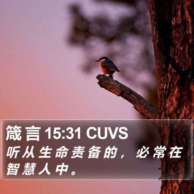 箴 言 15:31 CUVS Bible Verse Image