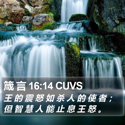箴 言 16:14 CUVS Bible Verse Image