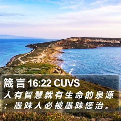 箴 言 16:22 CUVS Bible Verse Image