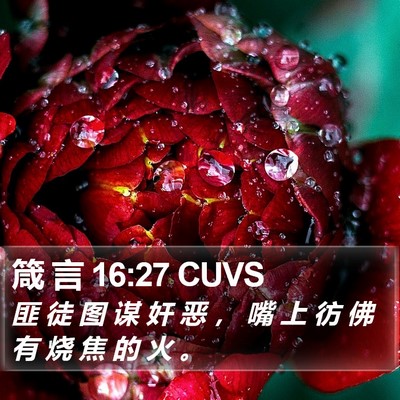 箴 言 16:27 CUVS Bible Verse Image