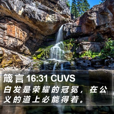 箴 言 16:31 CUVS Bible Verse Image