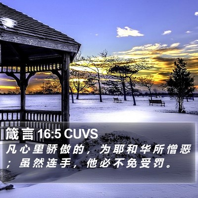箴 言 16:5 CUVS Bible Verse Image