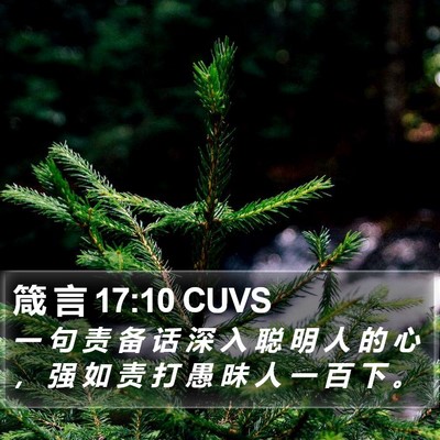 箴 言 17:10 CUVS Bible Verse Image