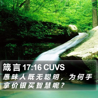 箴 言 17:16 CUVS Bible Verse Image