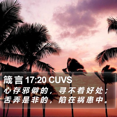 箴 言 17:20 CUVS Bible Verse Image