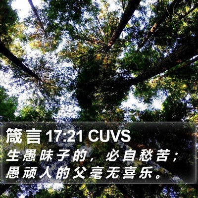 箴 言 17:21 CUVS Bible Verse Image