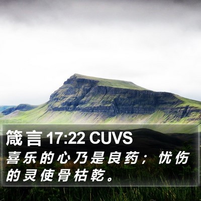 箴 言 17:22 CUVS Bible Verse Image