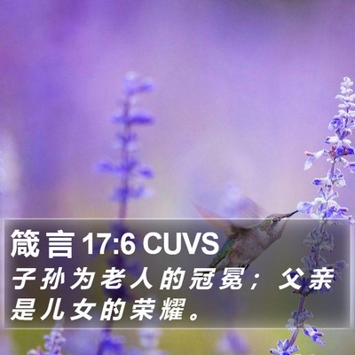 箴 言 17:6 CUVS Bible Verse Image