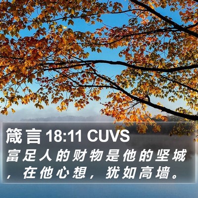 箴 言 18:11 CUVS Bible Verse Image