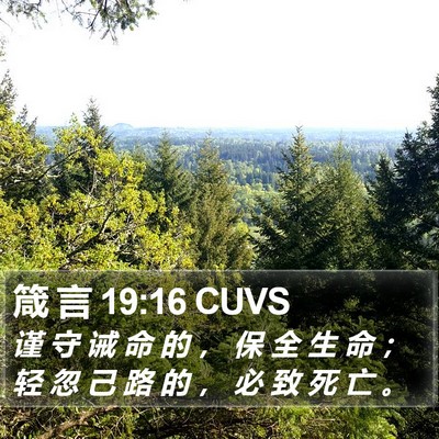 箴 言 19:16 CUVS Bible Verse Image
