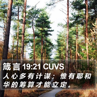 箴 言 19:21 CUVS Bible Verse Image