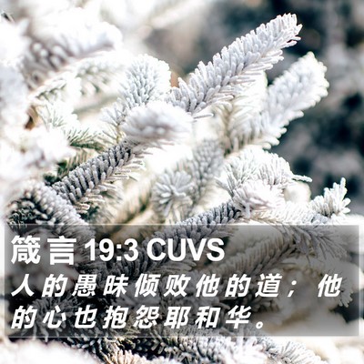 箴 言 19:3 CUVS Bible Verse Image