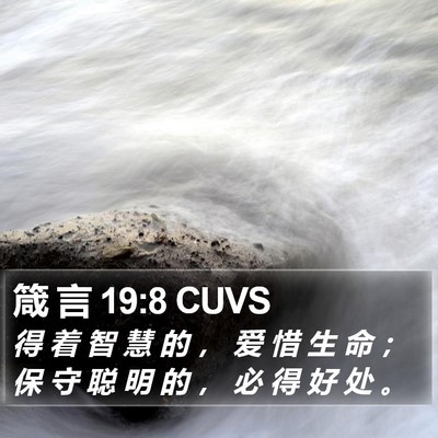 箴 言 19:8 CUVS Bible Verse Image