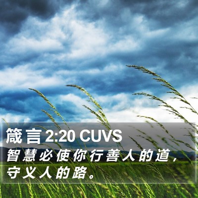 箴 言 2:20 CUVS Bible Verse Image