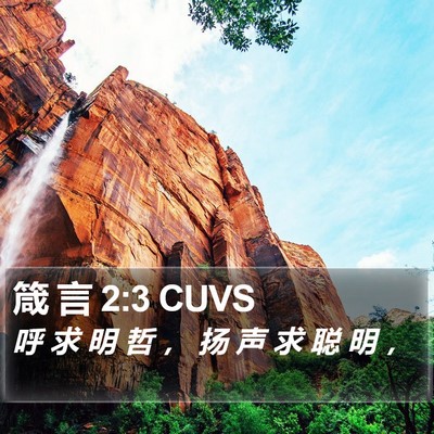 箴 言 2:3 CUVS Bible Verse Image