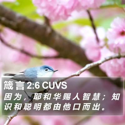 箴 言 2:6 CUVS Bible Verse Image