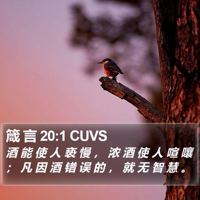 箴 言 20:1 CUVS Bible Verse Image