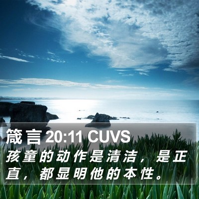 箴 言 20:11 CUVS Bible Verse Image