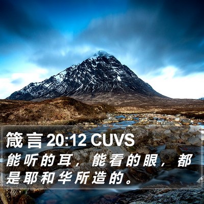 箴 言 20:12 CUVS Bible Verse Image