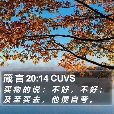 箴 言 20:14 CUVS Bible Verse Image