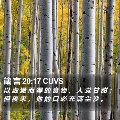 箴 言 20:17 CUVS Bible Verse Image