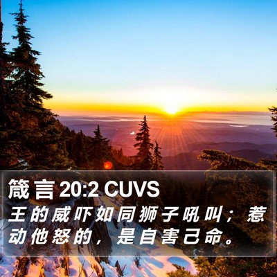 箴 言 20:2 CUVS Bible Verse Image