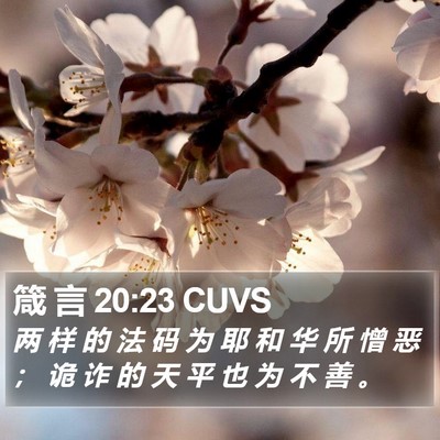 箴 言 20:23 CUVS Bible Verse Image