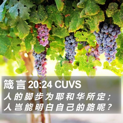 箴 言 20:24 CUVS Bible Verse Image