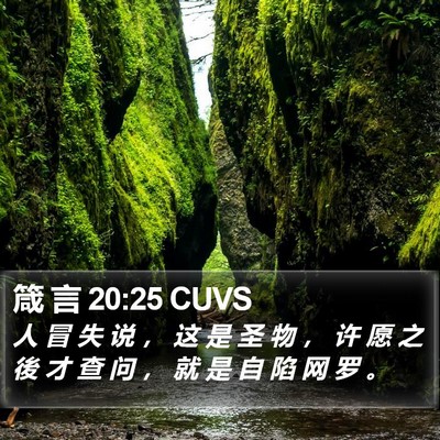 箴 言 20:25 CUVS Bible Verse Image