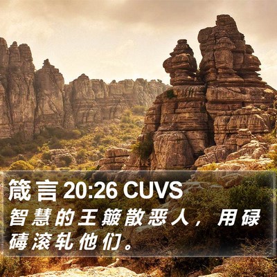 箴 言 20:26 CUVS Bible Verse Image