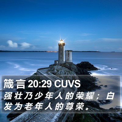 箴 言 20:29 CUVS Bible Verse Image