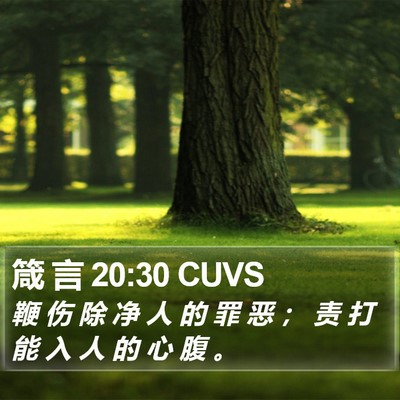 箴 言 20:30 CUVS Bible Verse Image