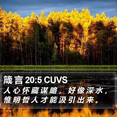箴 言 20:5 CUVS Bible Verse Image