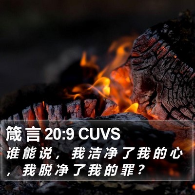 箴 言 20:9 CUVS Bible Verse Image
