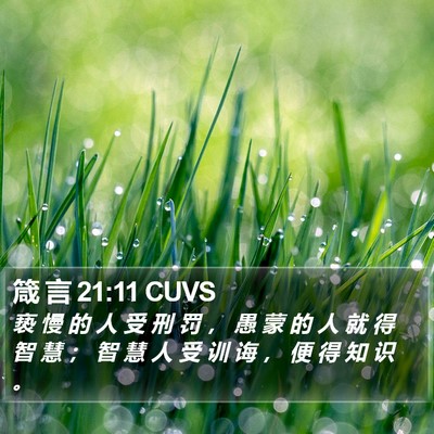 箴 言 21:11 CUVS Bible Verse Image