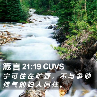 箴 言 21:19 CUVS Bible Verse Image