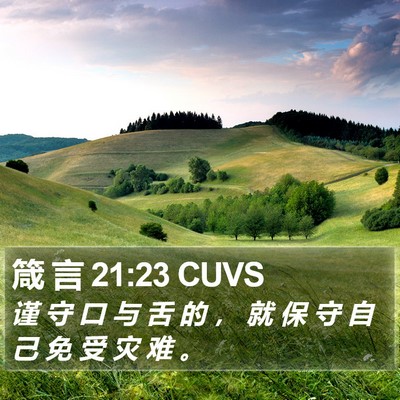 箴 言 21:23 CUVS Bible Verse Image