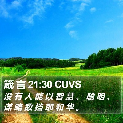 箴 言 21:30 CUVS Bible Verse Image