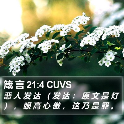 箴 言 21:4 CUVS Bible Verse Image