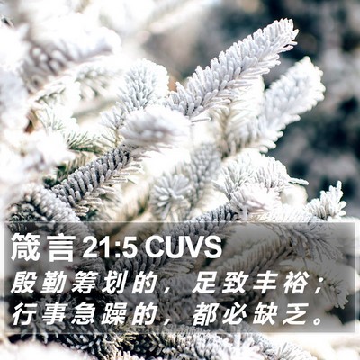 箴 言 21:5 CUVS Bible Verse Image