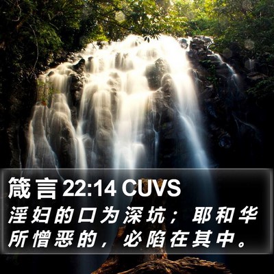 箴 言 22:14 CUVS Bible Verse Image