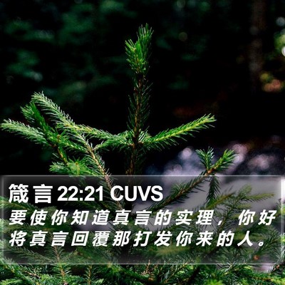 箴 言 22:21 CUVS Bible Verse Image