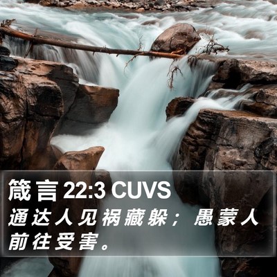 箴 言 22:3 CUVS Bible Verse Image