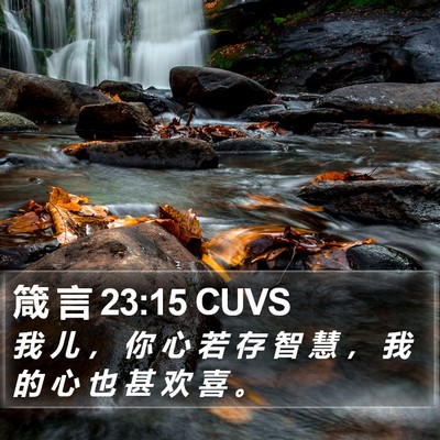 箴 言 23:15 CUVS Bible Verse Image
