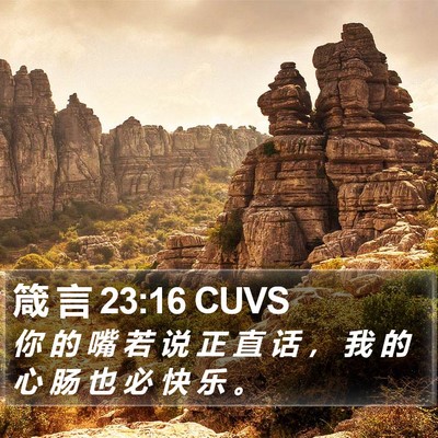 箴 言 23:16 CUVS Bible Verse Image