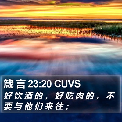 箴 言 23:20 CUVS Bible Verse Image