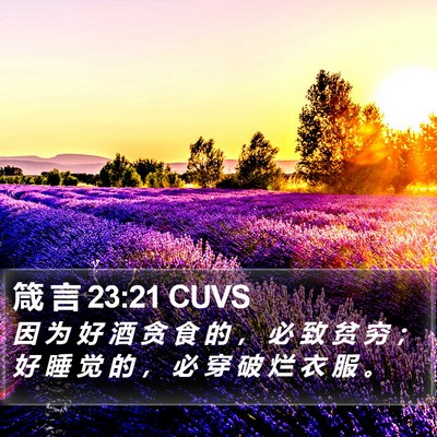 箴 言 23:21 CUVS Bible Verse Image