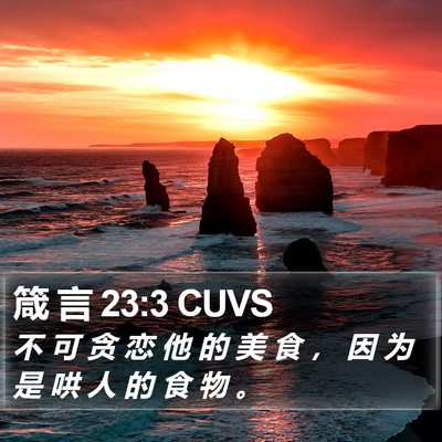 箴 言 23:3 CUVS Bible Verse Image